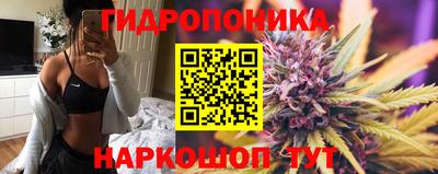 apvp Будённовск